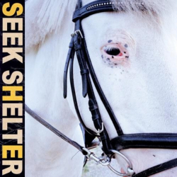 Tracklist & lyrics Iceage - Seek Shelter