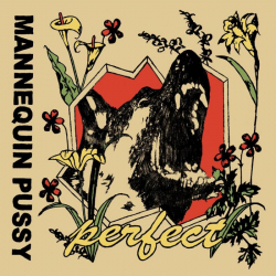 Tracklist & lyrics Mannequin Pussy - Perfect