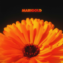 Tracklist & lyrics Alex Isley & Jack Dine - Marigold