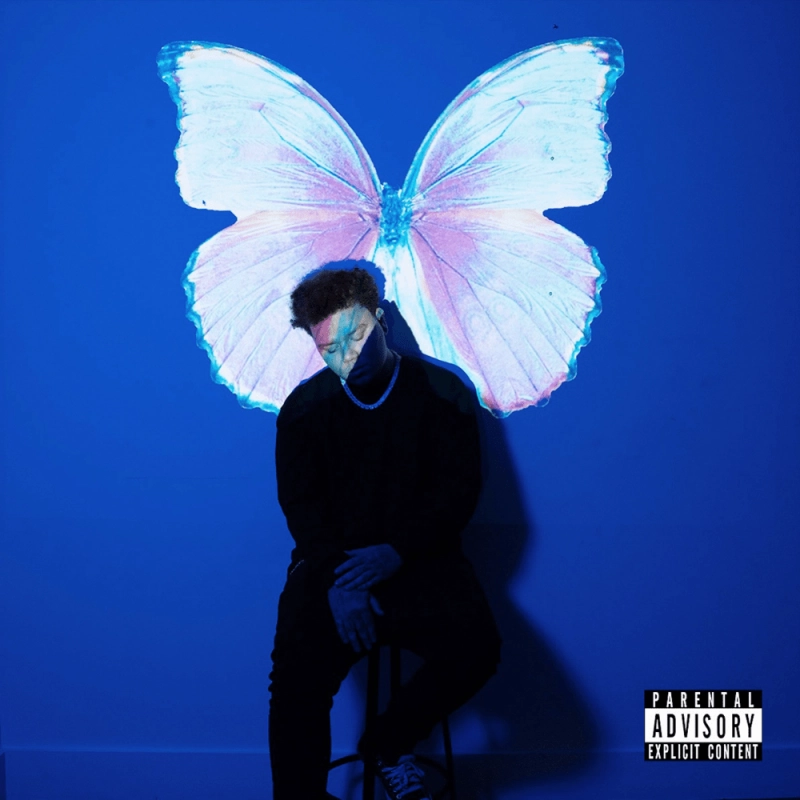 Phora - The Butterfly Effect